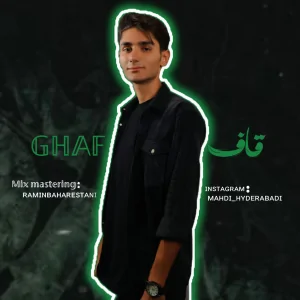 مهدی حیدرآبادی s