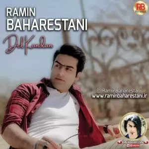 رامین بهارستانی - دل کندن