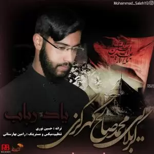 محمدصالح گهرگزی - یاد رباب