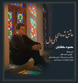 محمود سلطانیان  - عاشق شده ای